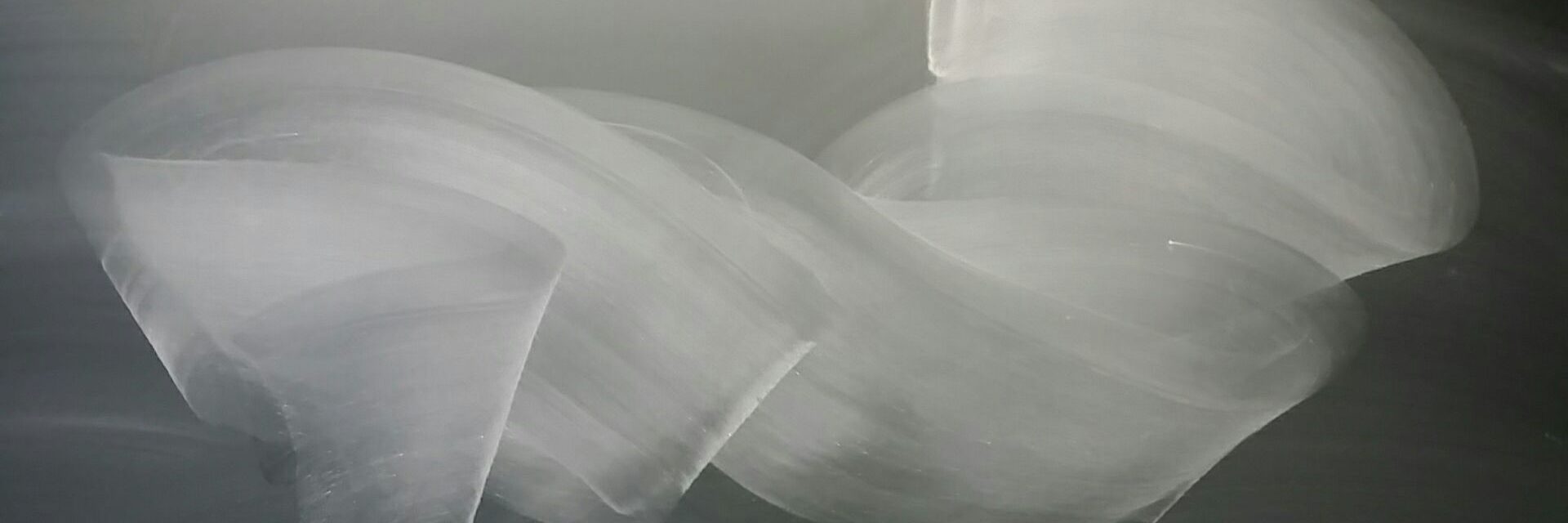 Démocratie et intérêt général au cœur de PSL